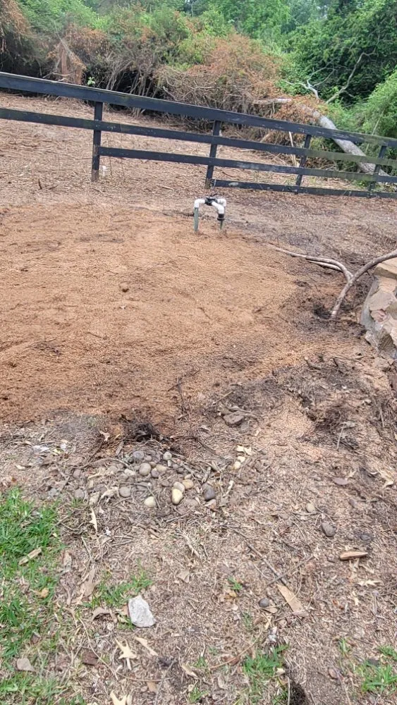 Affordable landscaping services in Magnolia, TX by Legacy Lawn Service & Landscape