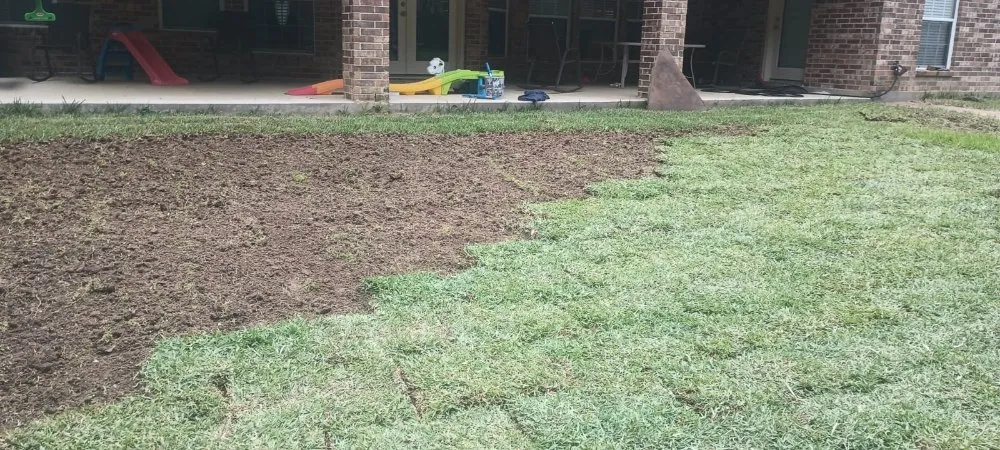 Professional residential landscaping in Magnolia, TX by Legacy Lawn Service & Landscape