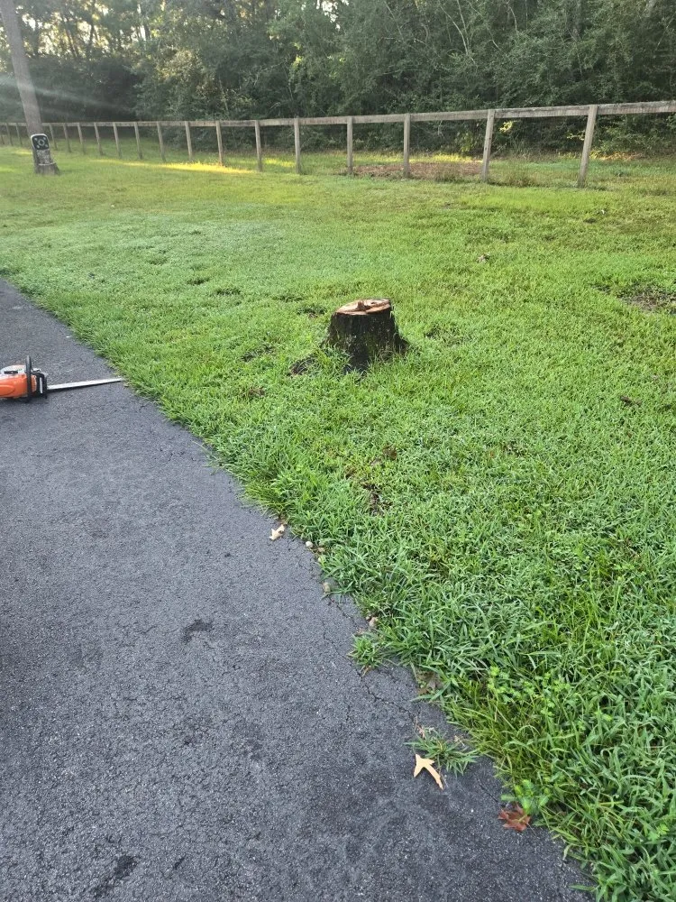 Top-rated lawn mowing service with custom design across Magnolia, TX - Legacy Lawn Service & Landscape