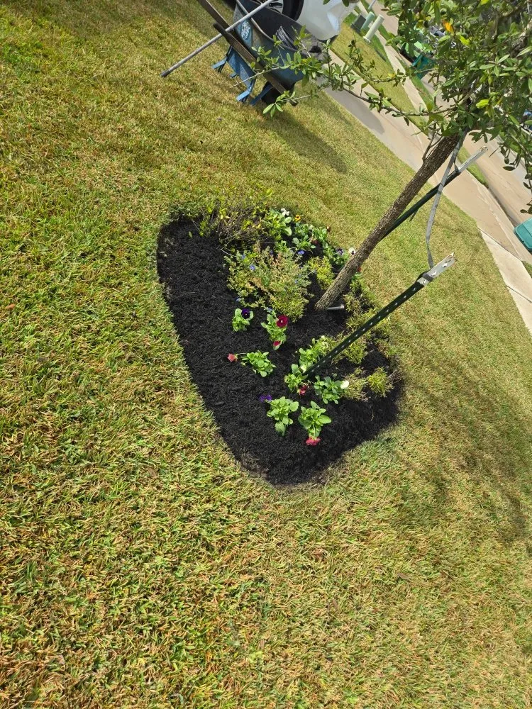 Reliable yard maintenance in Magnolia, TX - Legacy Lawn Service & Landscape