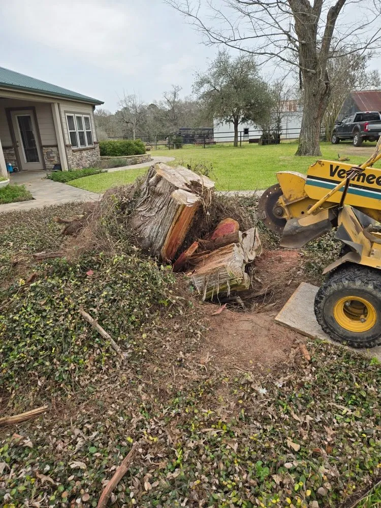 Affordable residential landscaping experts serving Magnolia, TX - Legacy Lawn Service & Landscape