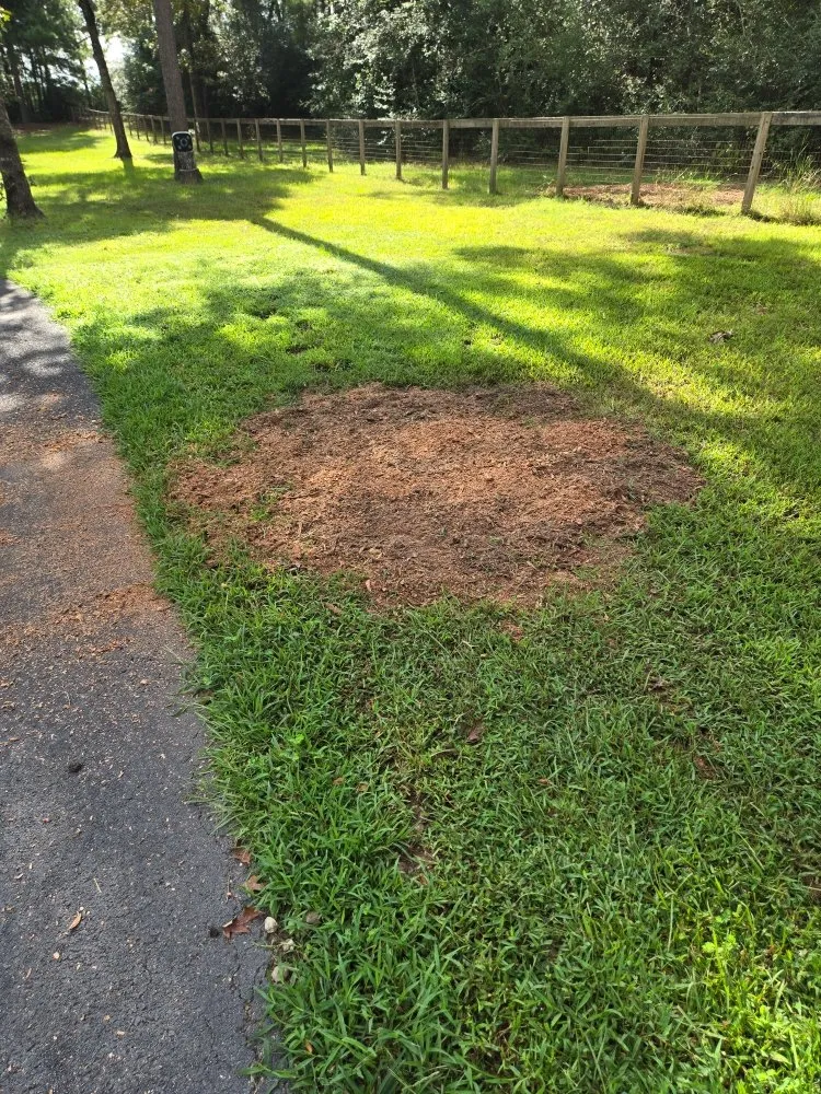 Top-rated lawn mowing service in Magnolia, TX by Legacy Lawn Service & Landscape