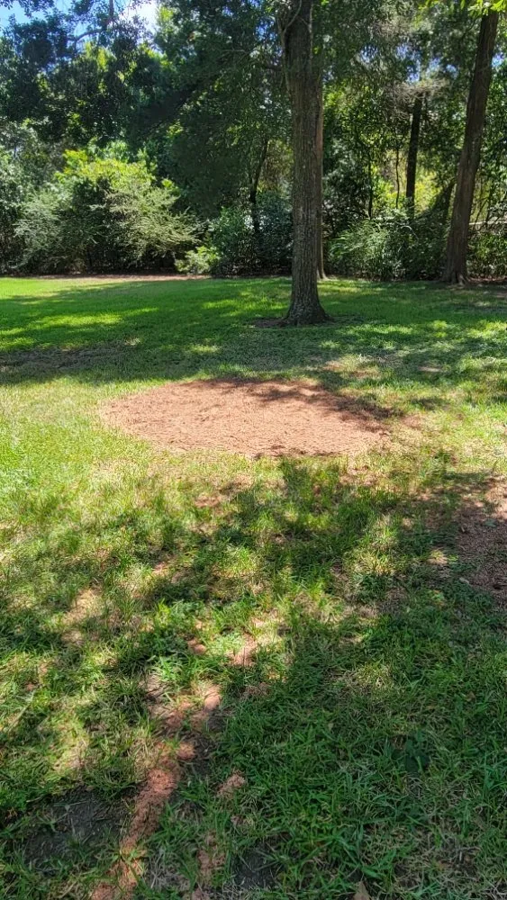 Reliable residential landscaping in Magnolia, TX - Legacy Lawn Service & Landscape