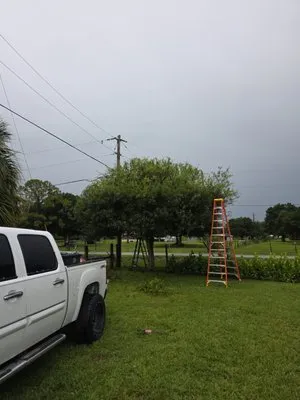 Legacy Lawn Service & Landscaping Logo