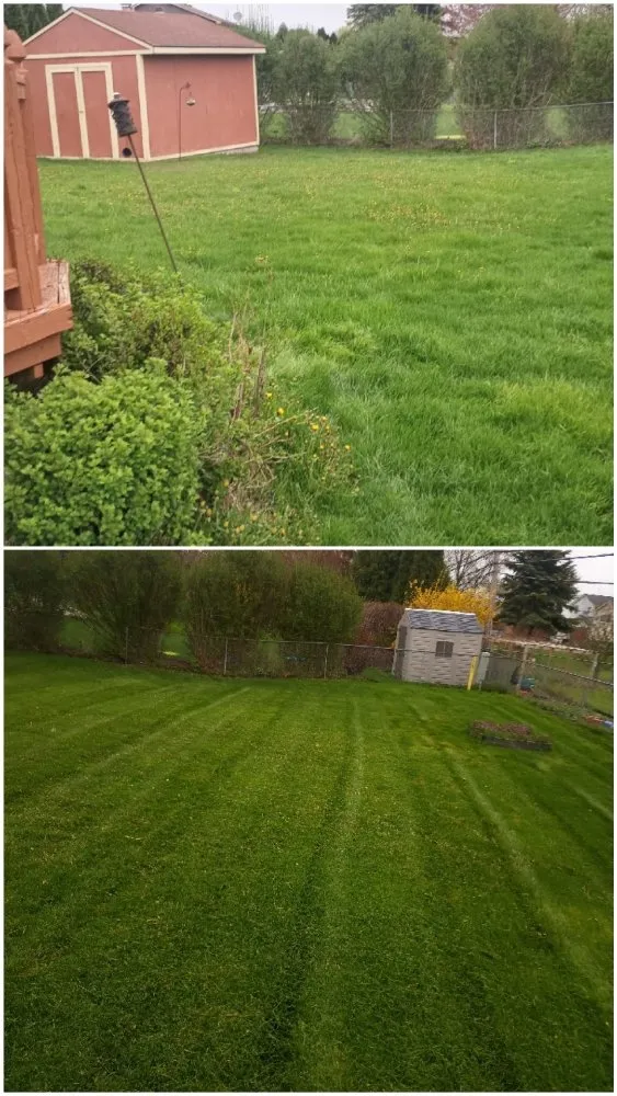 Expert yard maintenance in Sterling Heights, MI by Legacy Lawn Service