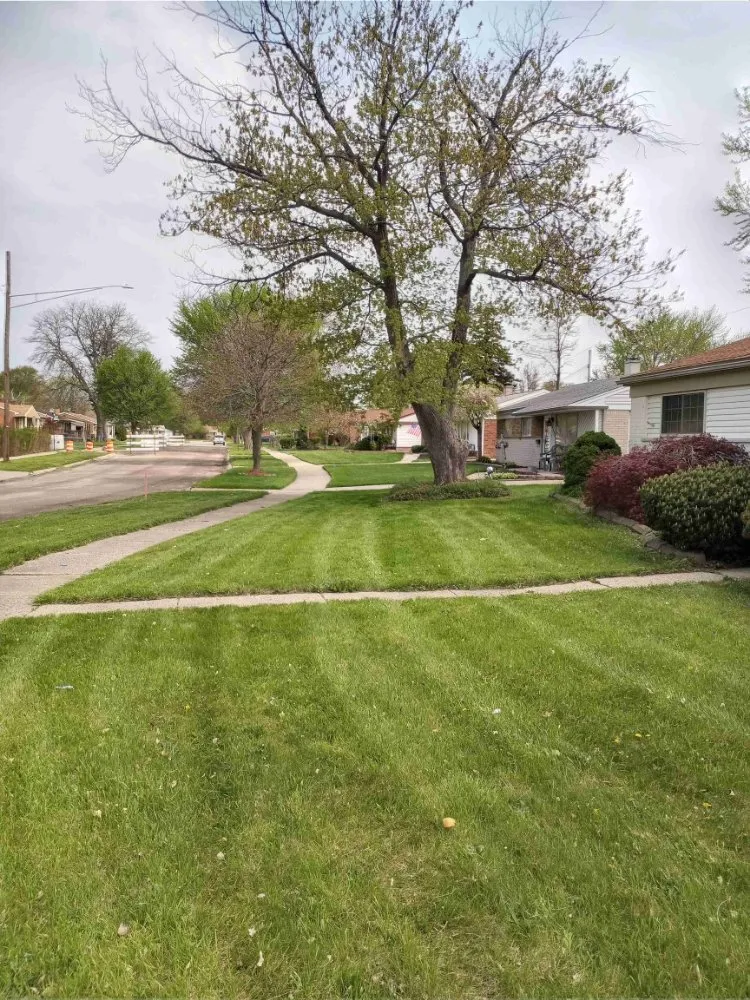 Local outdoor landscaping for homes across Sterling Heights, MI - Legacy Lawn Service