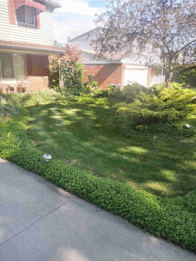 Affordable yard cleanup service near you across Sterling Heights, MI - Legacy Lawn Service