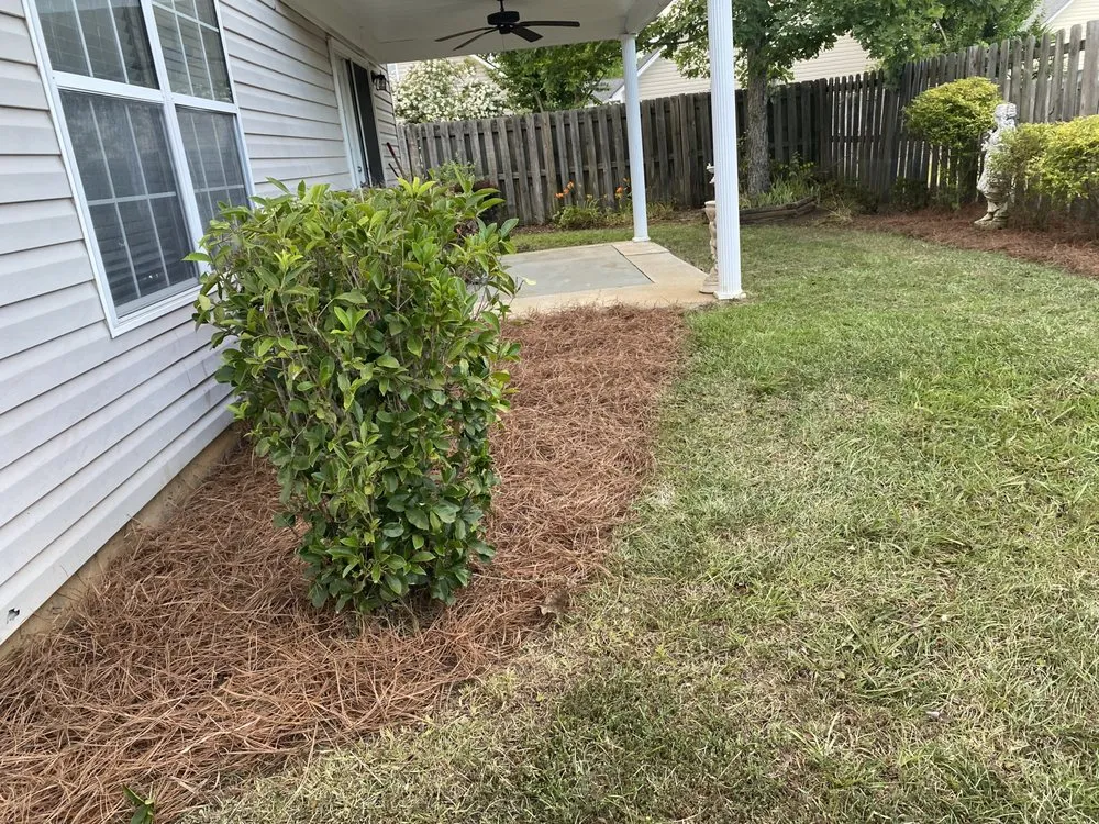 Expert landscape design with custom design across Lexington, SC - Legacy Lawns