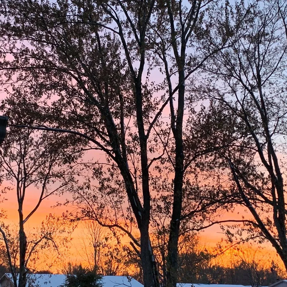 Reliable landscape design experts serving Richmond, IN - Legacy Lawns