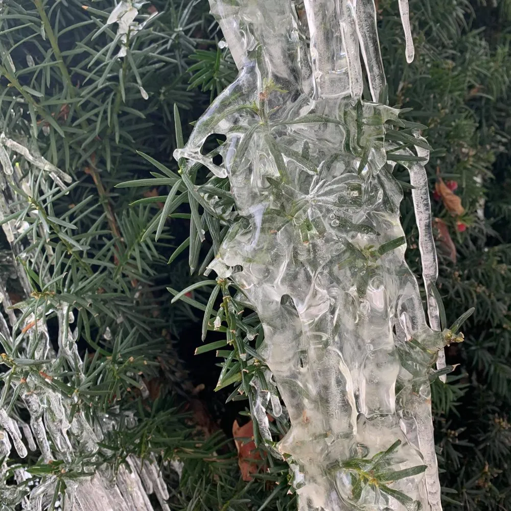 Top-rated lawn mowing service in Richmond, IN - Legacy Lawns