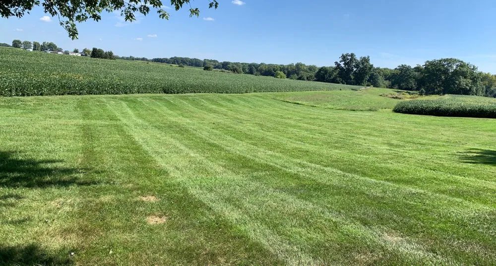 Top-rated yard cleanup service experts serving Cantrall, IL - Legacy Maintenance