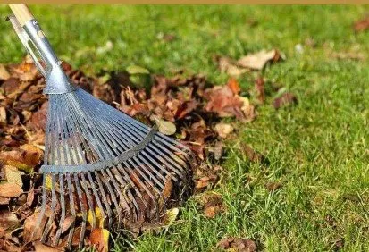 Expert lawn mowing service in Heartland, TX by Legacy Mowing and Maintenance