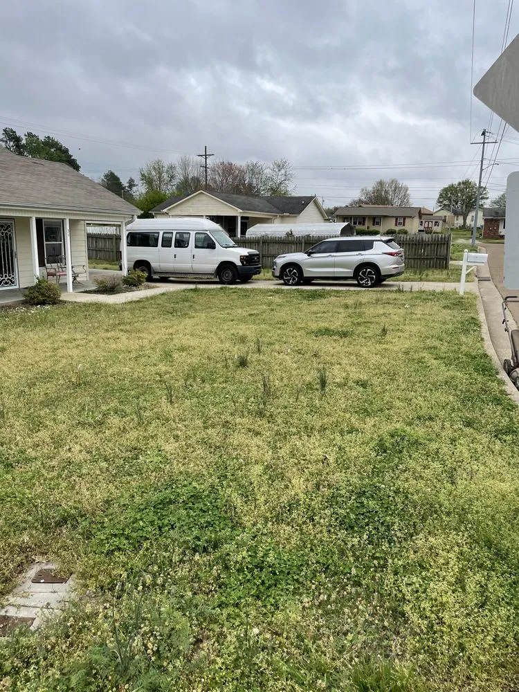 Affordable landscape installation for homes in Henderson, TN by Legacy Mowing