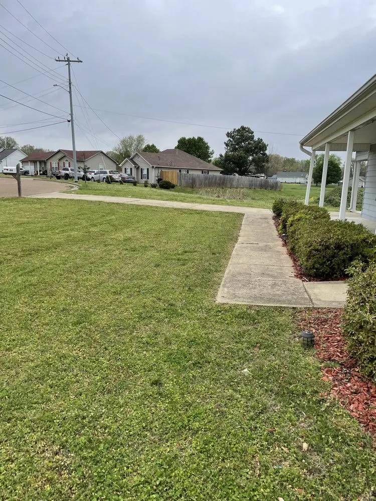 Expert yard cleanup service in Henderson, TN - Legacy Mowing