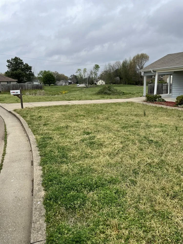 Local landscaping services in Henderson, TN by Legacy Mowing