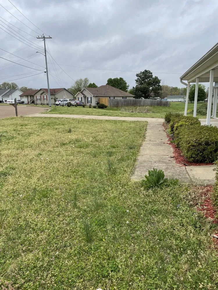 Affordable yard maintenance in Henderson, TN by Legacy Mowing