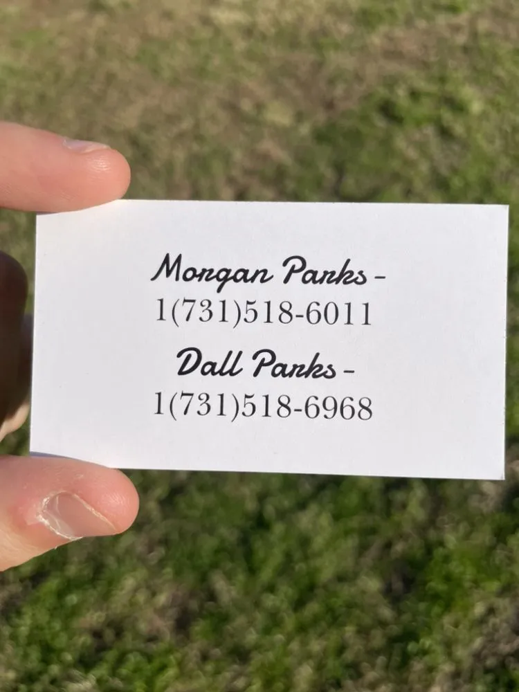 Expert landscape design in Henderson, TN - Legacy Mowing