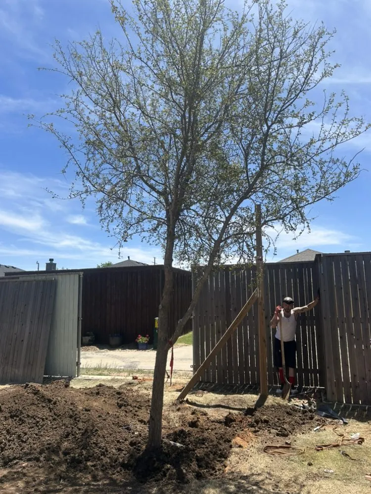 Custom landscape installation for outdoor upgrades across Rogers, AR - Legacy Outdoor Designs