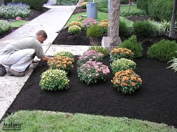 Custom yard maintenance in Shawnee, KS - Legacy Outdoors KC