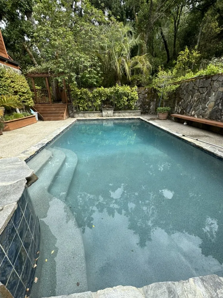 Expert landscape installation in San Jose, CA by Legacy Pool Construction