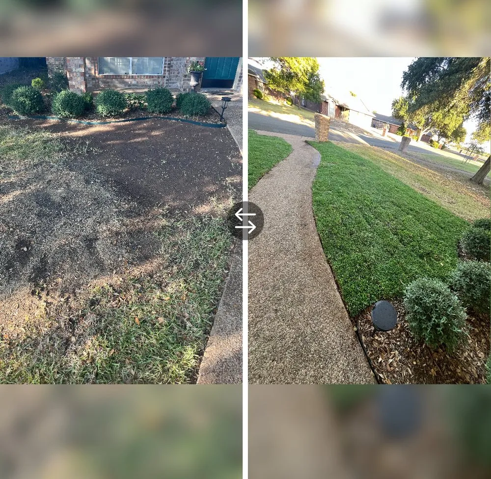 Professional landscape installation in Waco, TX by Legacy Pressure Washing & lawn care