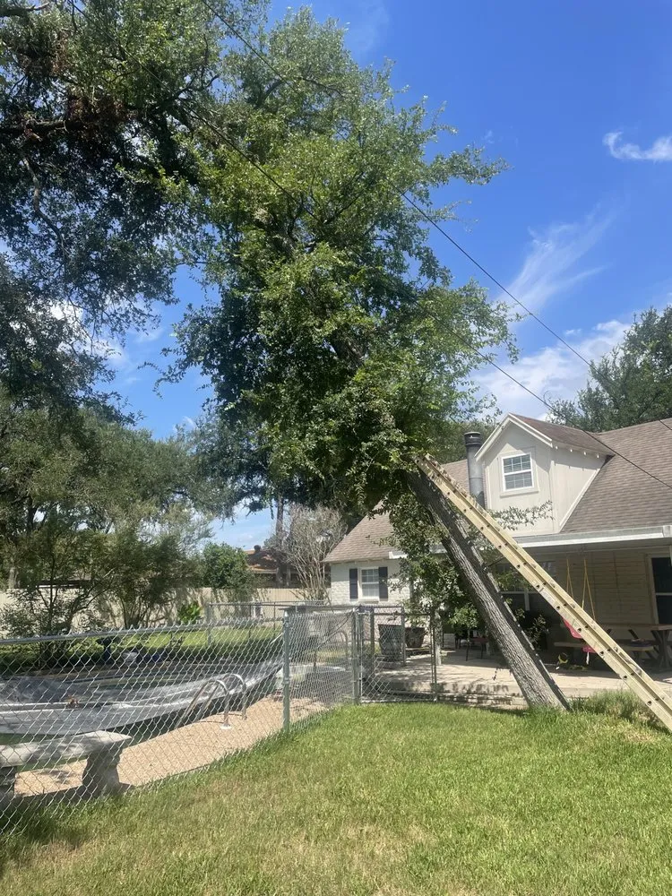 Top-rated yard cleanup service in Waco, TX by Legacy Pressure Washing & lawn care