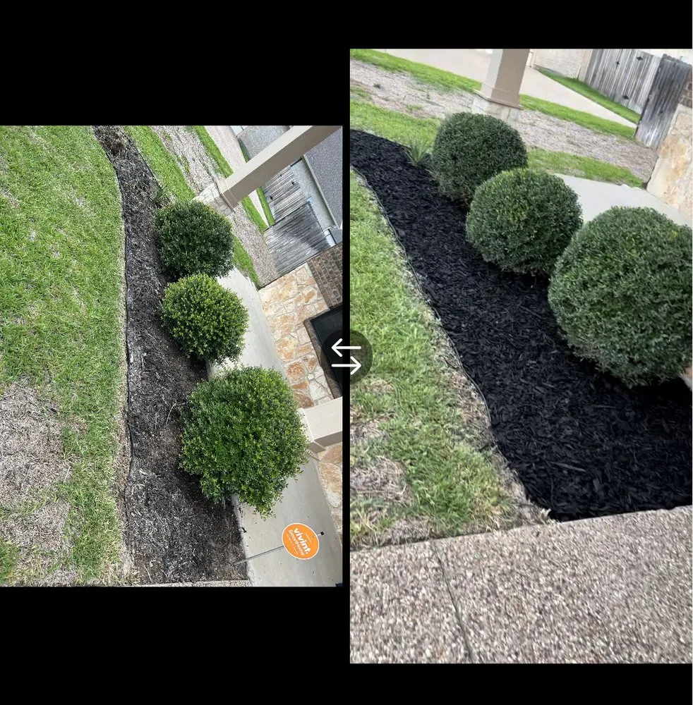 Top-rated yard maintenance for homes across Waco, TX - Legacy Pressure Washing & lawn care