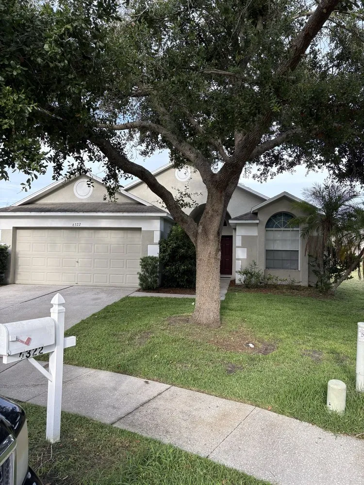 Expert landscape installation in Land O' Lakes, FL - Legacy Pro Services