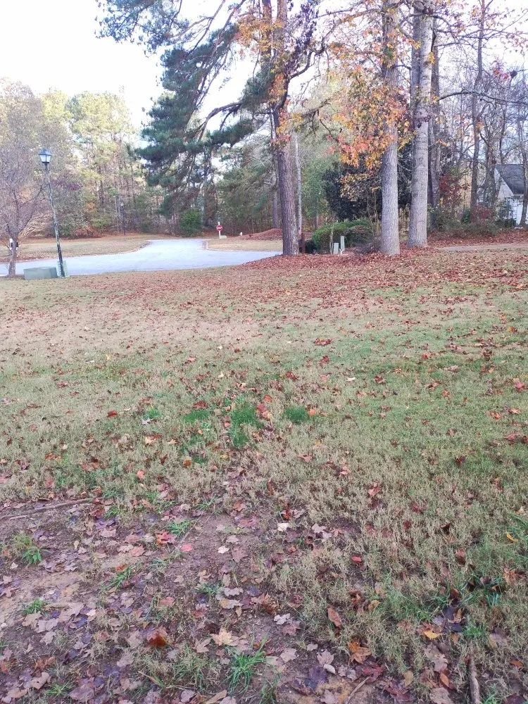 Professional landscape design experts serving Tyrone, GA - Legacy Service