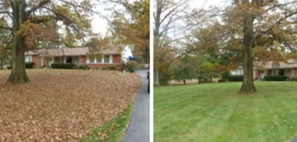 Top-rated garden landscaping in Tyrone, GA - Legacy Service