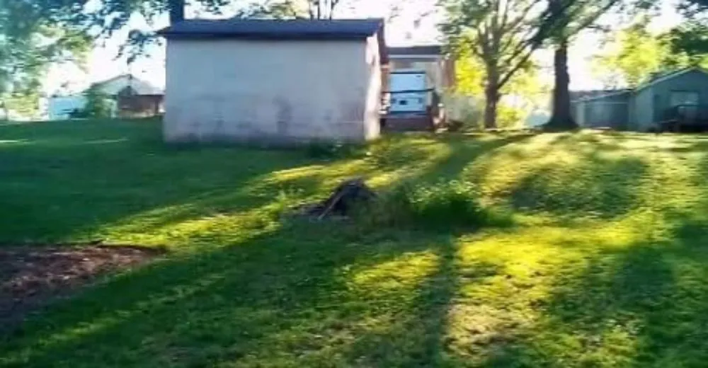 Reliable outdoor landscaping in Tyrone, GA - Legacy Service