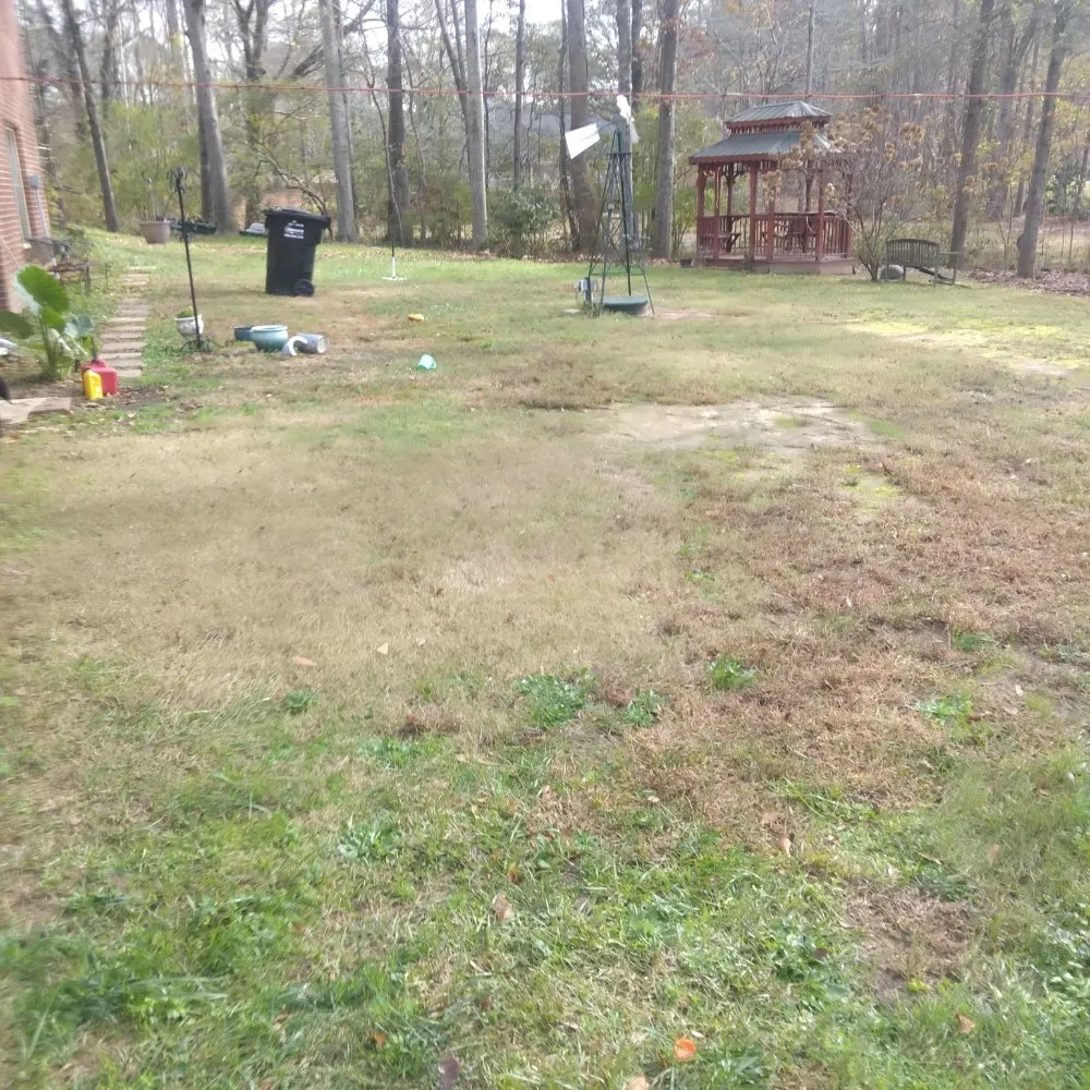 Expert yard cleanup service in Tyrone, GA - Legacy Service