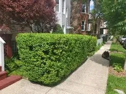 Top-rated landscape design with custom design in Burton, MI by Legacy Services