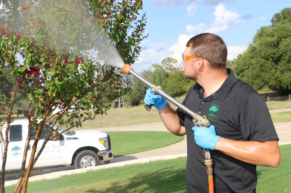 Trusted landscaping services near you across Aledo, TX - Legacy Tree & Landscape Specialists