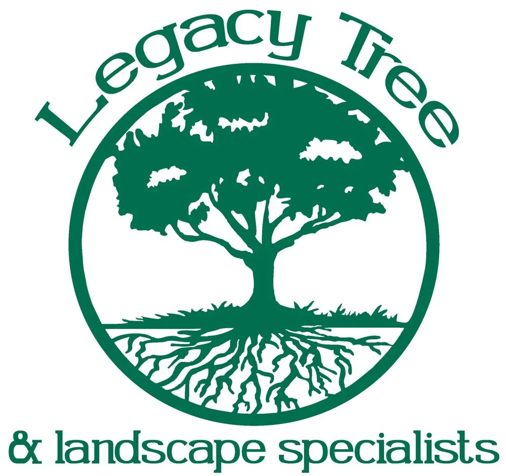 Affordable landscape installation in Aledo, TX by Legacy Tree & Landscape Specialists