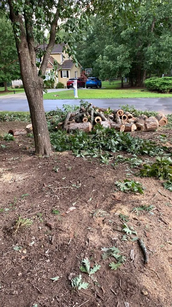 Top-rated lawn care service for homes across Evington, VA - Legacy Tree Expert
