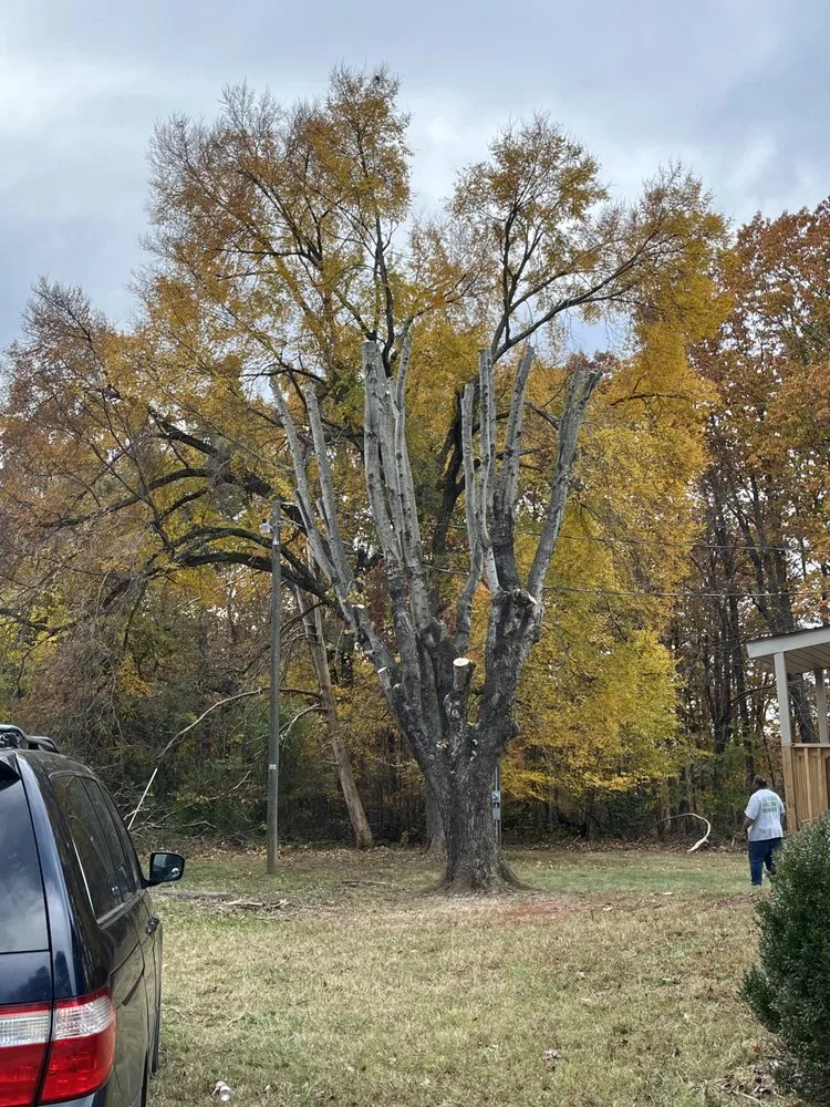 Trusted lawn mowing service in Evington, VA by Legacy Tree Expert