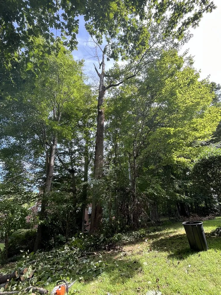 Expert garden landscaping for residential properties across Evington, VA - Legacy Tree Expert