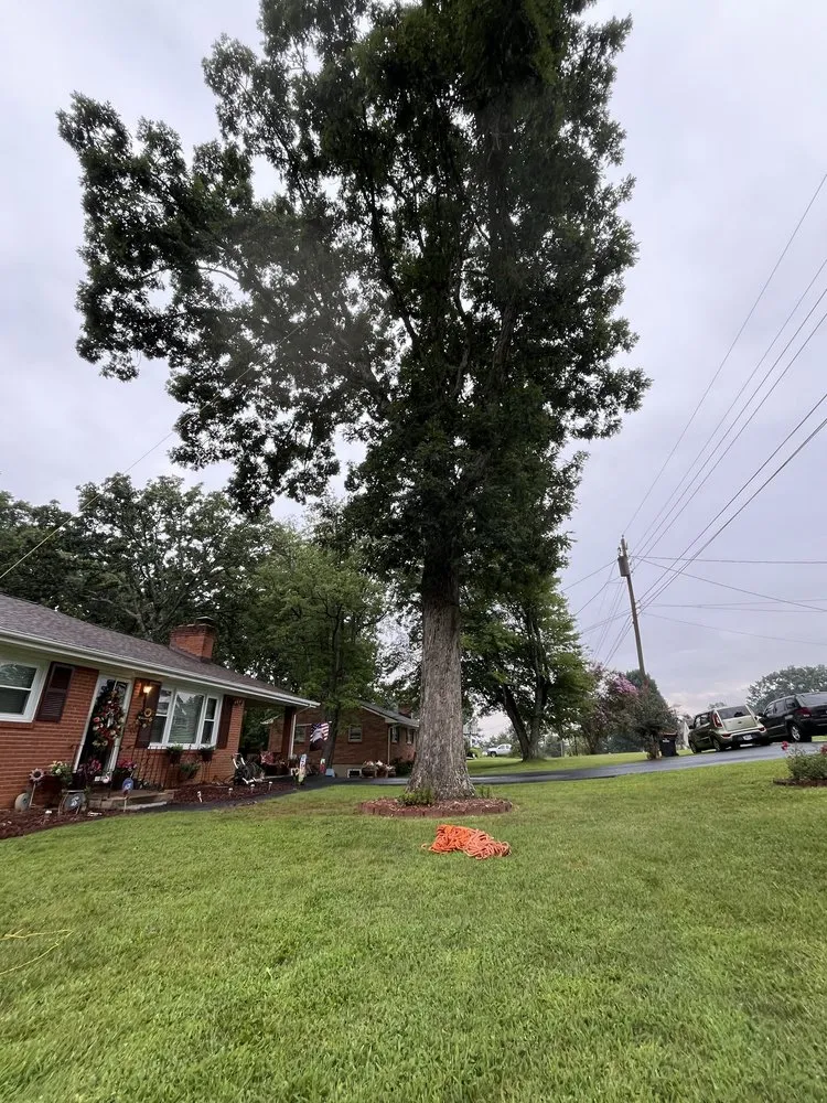 Local lawn mowing service for beautiful yards across Evington, VA - Legacy Tree Expert