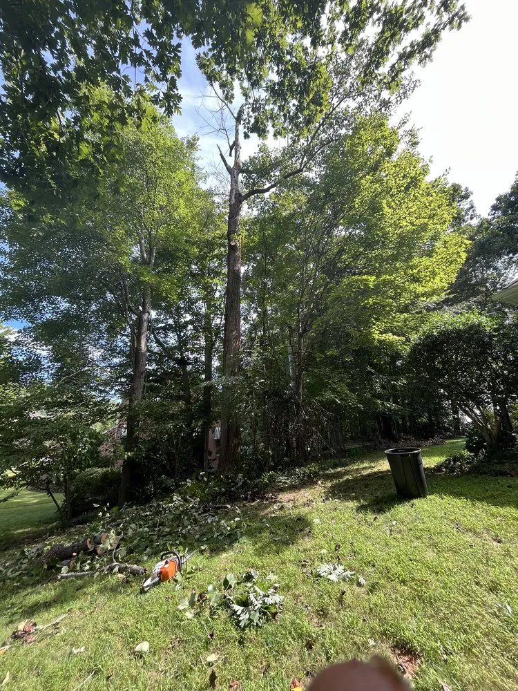 Trusted lawn mowing service in Evington, VA - Legacy Tree Expert