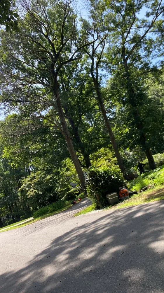 Custom landscape installation for outdoor upgrades across Evington, VA - Legacy Tree Expert