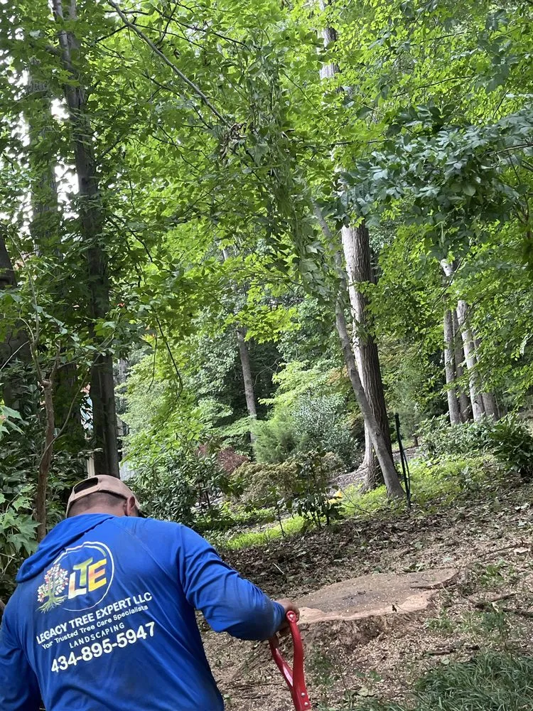 Reliable landscape design in Evington, VA by Legacy Tree Expert