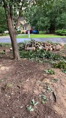 Legacy Tree Expert
