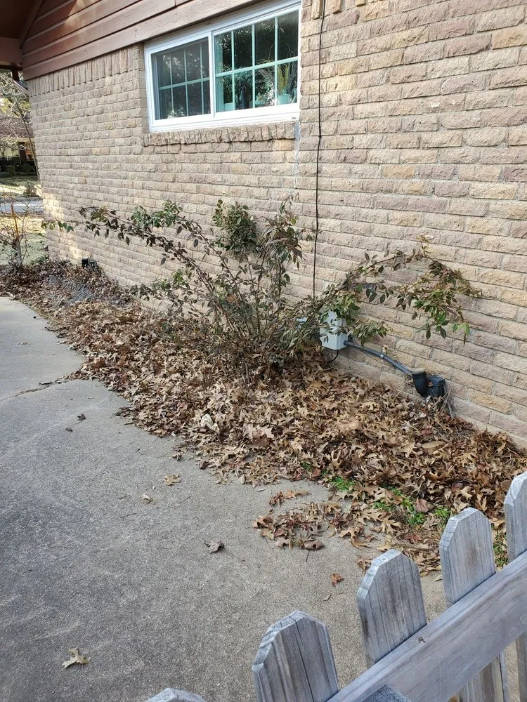 Trusted yard maintenance in Greenville, TX by Legacy Tree Service