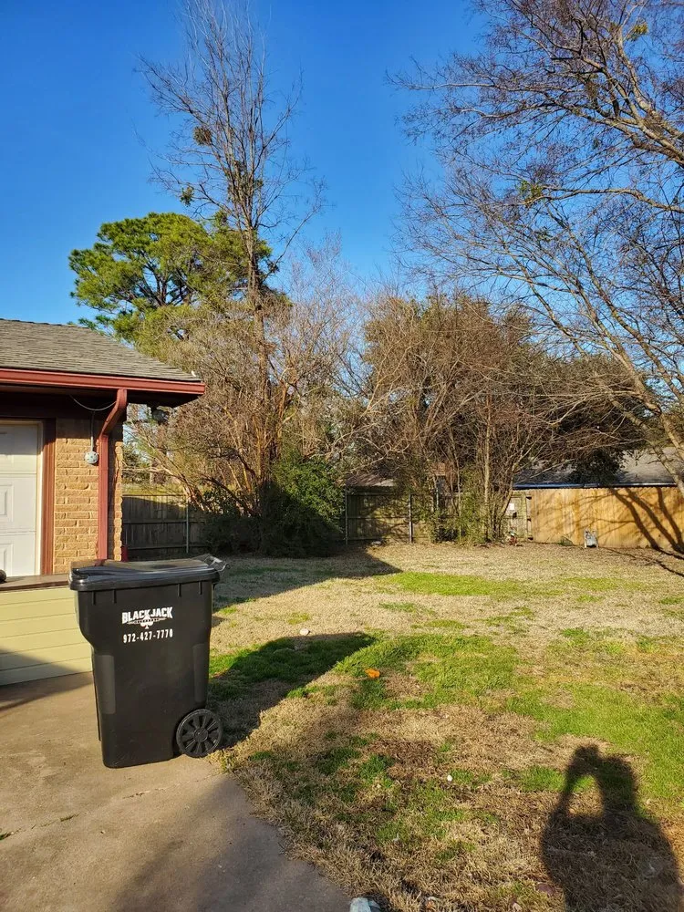 Expert landscape installation for residential properties in Greenville, TX by Legacy Tree Service