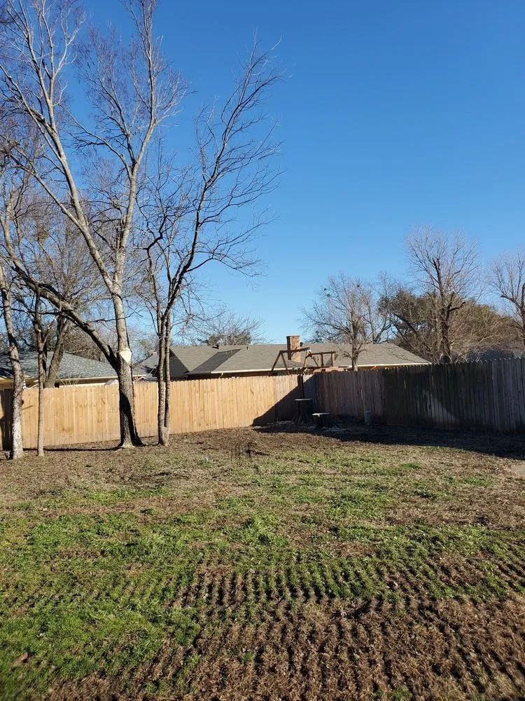 Top-rated lawn mowing service experts serving Greenville, TX - Legacy Tree Service