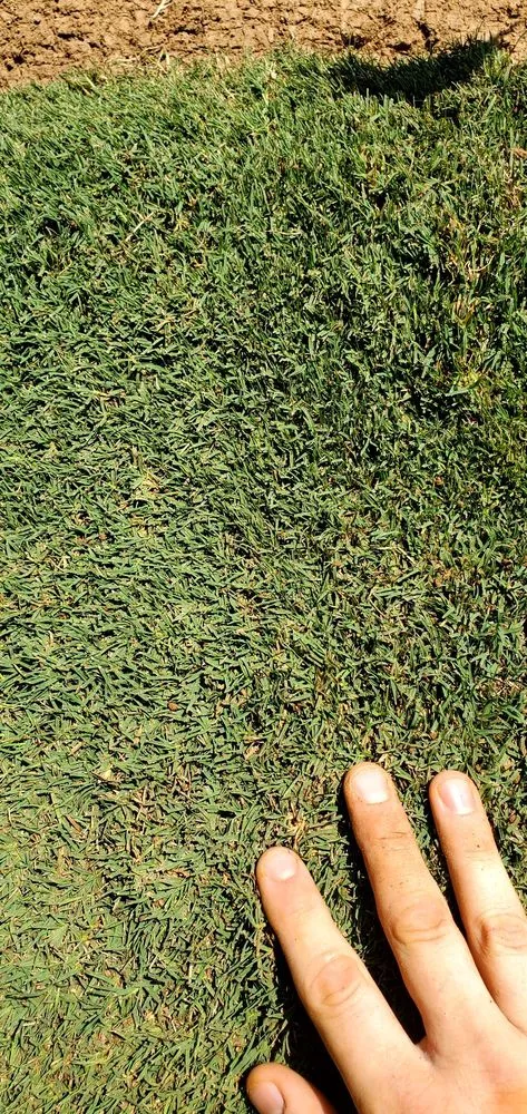 Local lawn care service experts serving Cartersville, GA - Legacy Turf Farms