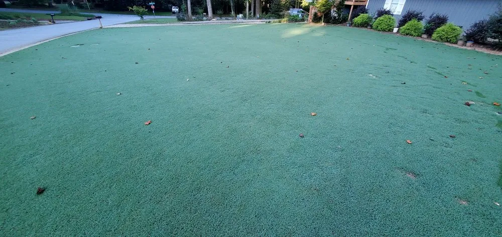 Top-rated garden landscaping in Cartersville, GA by Legacy Turf Farms