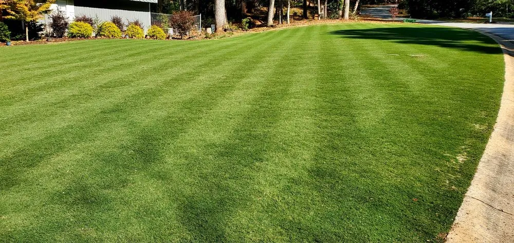 Expert landscape installation for outdoor upgrades across Cartersville, GA - Legacy Turf Farms