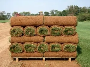 Trusted outdoor landscaping in Cartersville, GA by Legacy Turf Farms